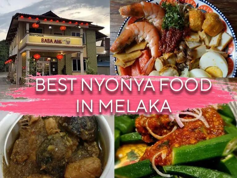 20+ Best Melaka Nyonya Food With Authentic Taste That You'll Love ...